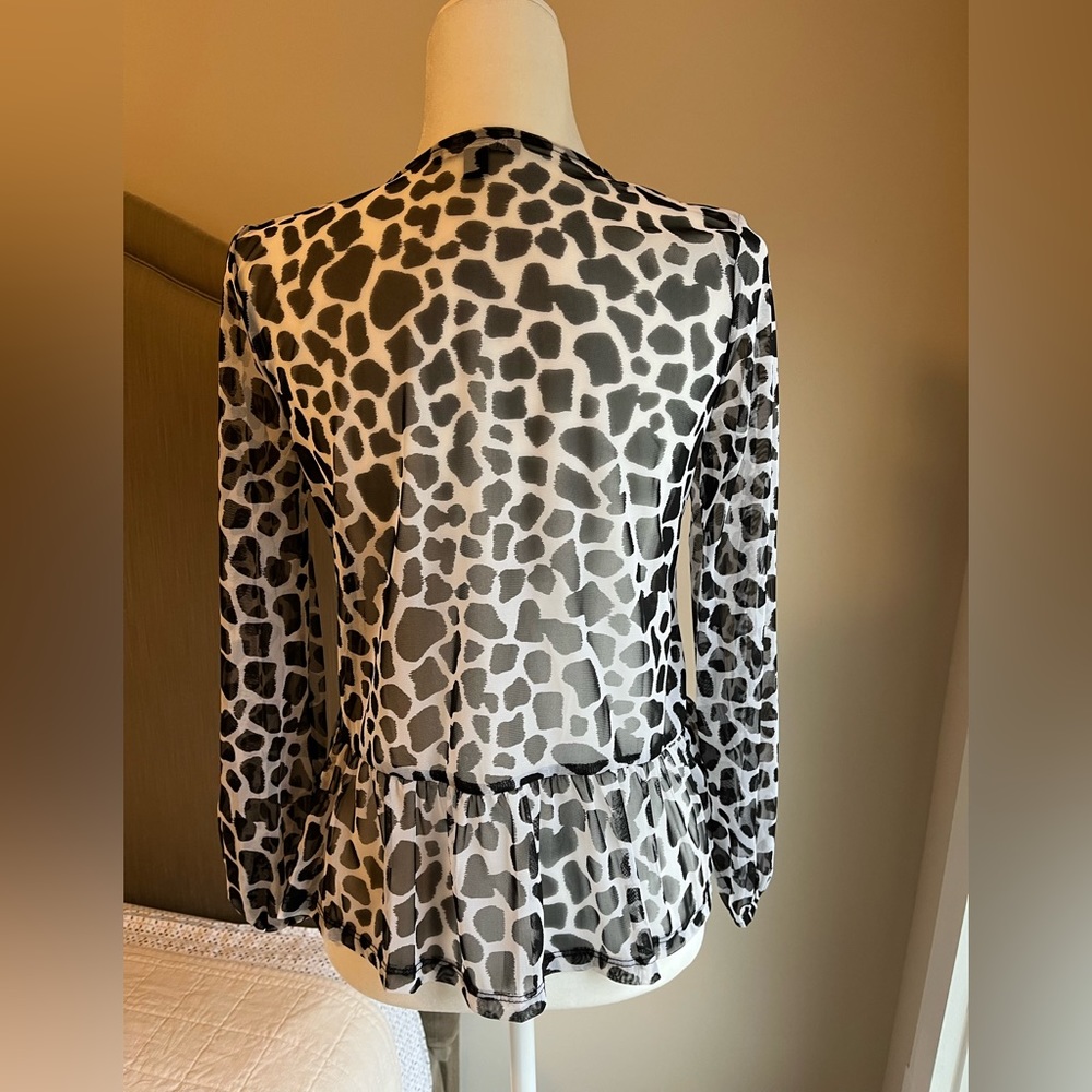 Sheer Blouse